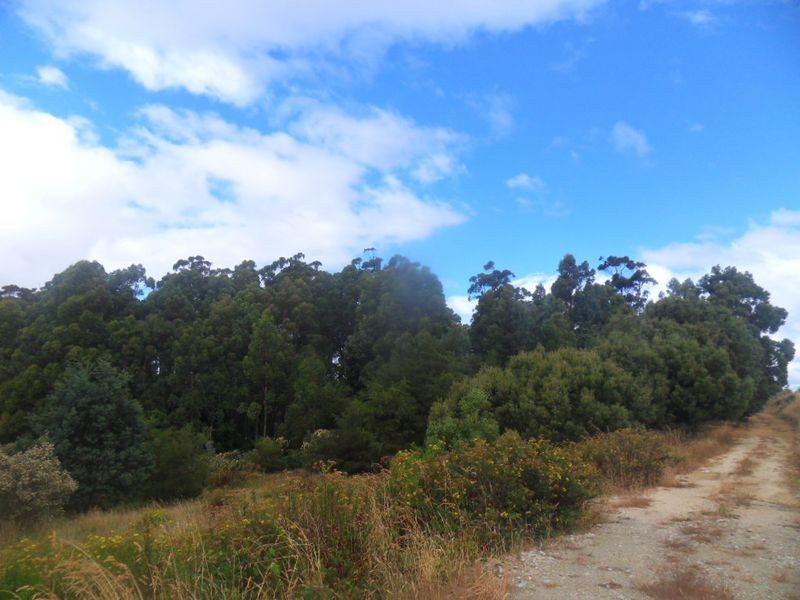 301 Minna Road Heybridge, Burnie TAS 7320