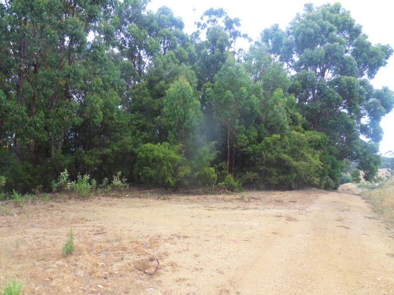 301 Minna Road Heybridge, Burnie TAS 7320
