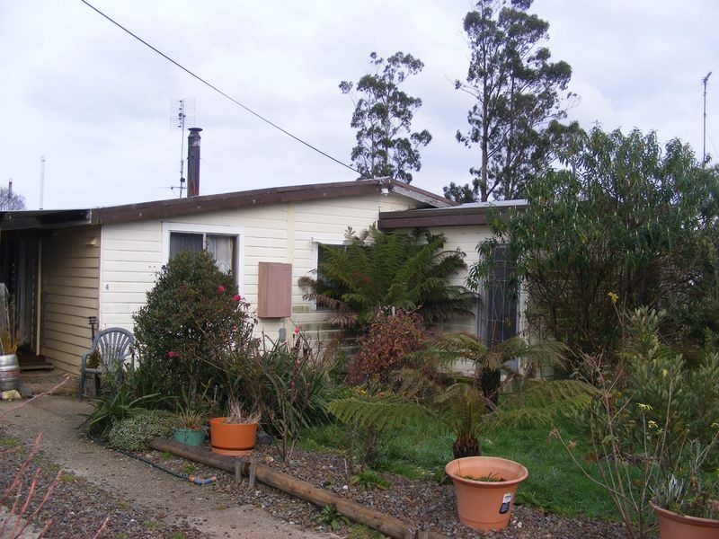 4 Little Quiggins Street, Waratah TAS 7321