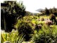 4 Little Quiggins Street, Waratah TAS 7321