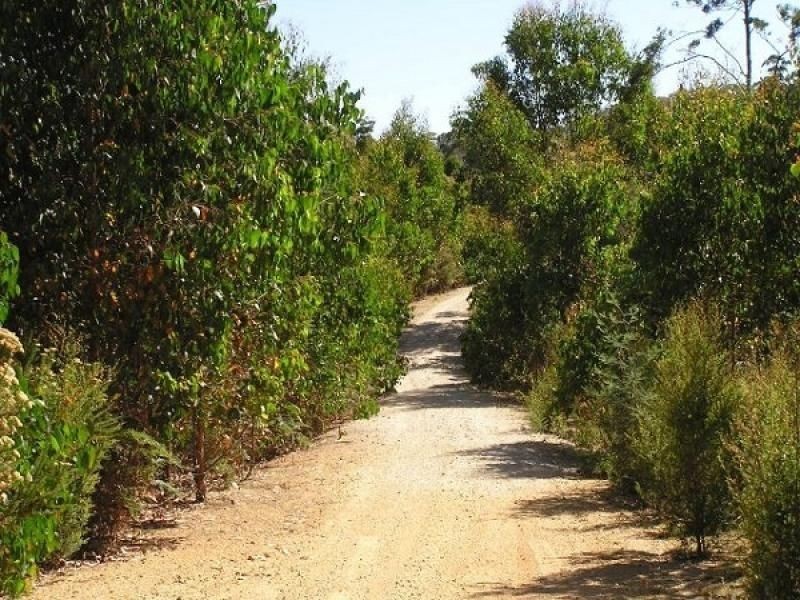 - Penima Road, Ridgley TAS 7321