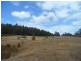 - Penima Road, Ridgley TAS 7321