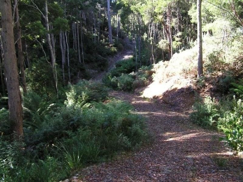 - Penima Road, Ridgley TAS 7321