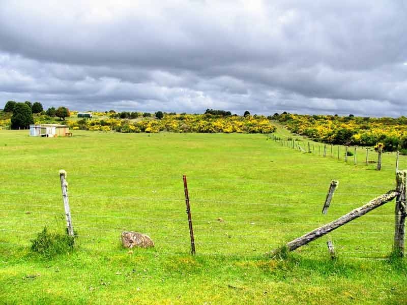 64 English Street, Waratah TAS 7321