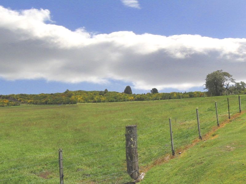 64 English Street, Waratah TAS 7321