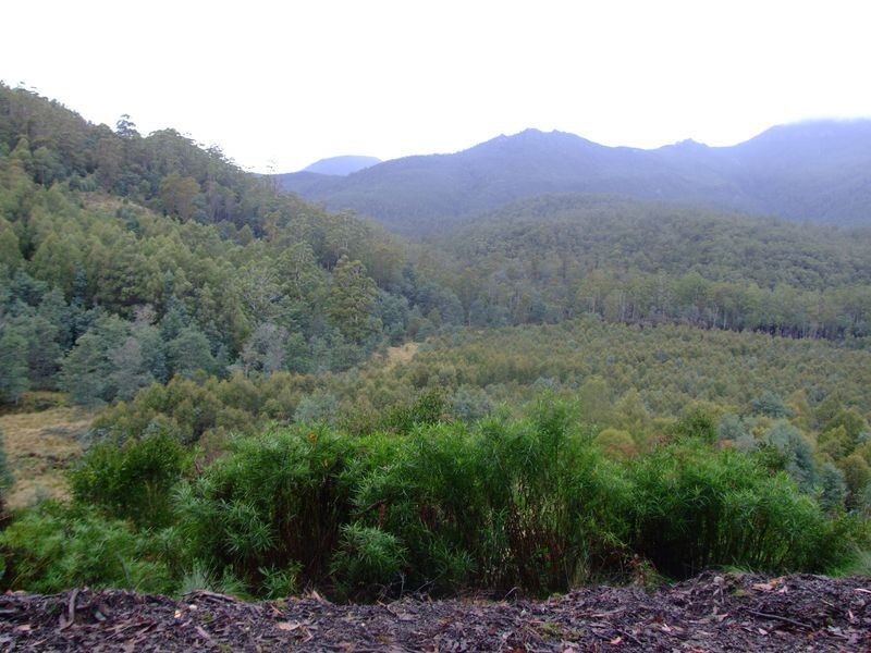 Lot 1 Loongana Road, Loongana TAS 7315