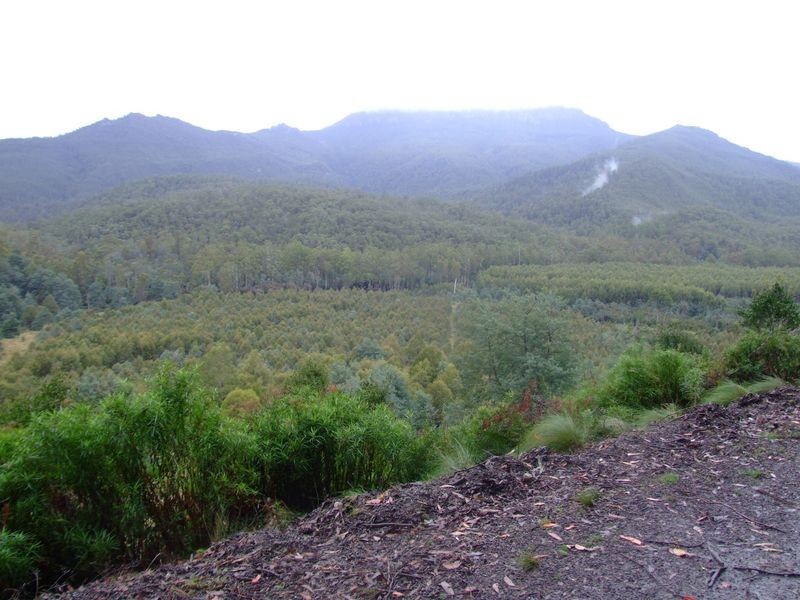 Lot 1 Loongana Road, Loongana TAS 7315