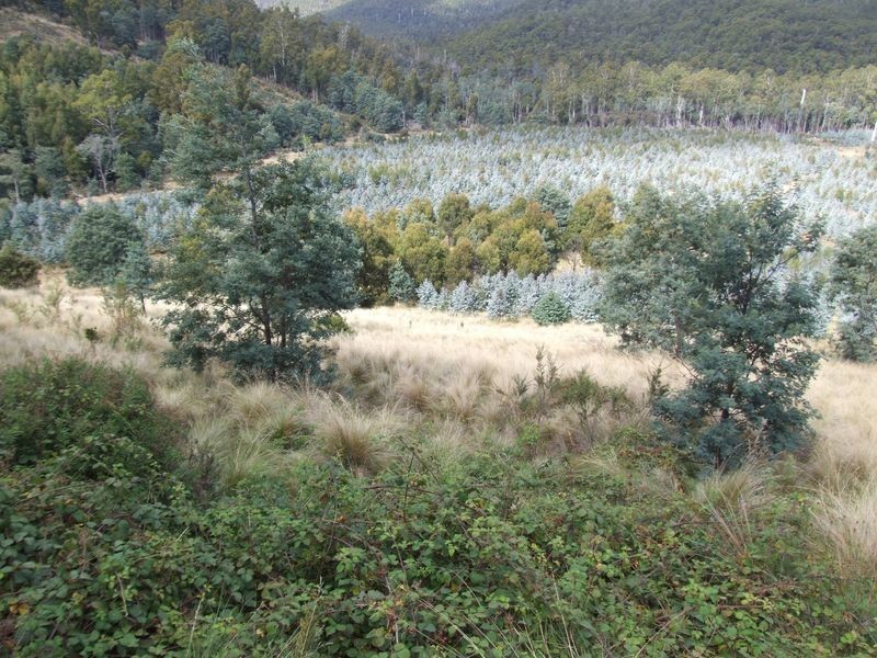 Lot 1 Loongana Road, Loongana TAS 7315