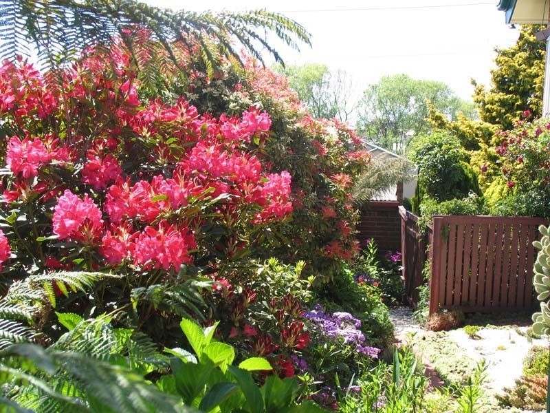 6 Cunningham Street, Burnie TAS 7320