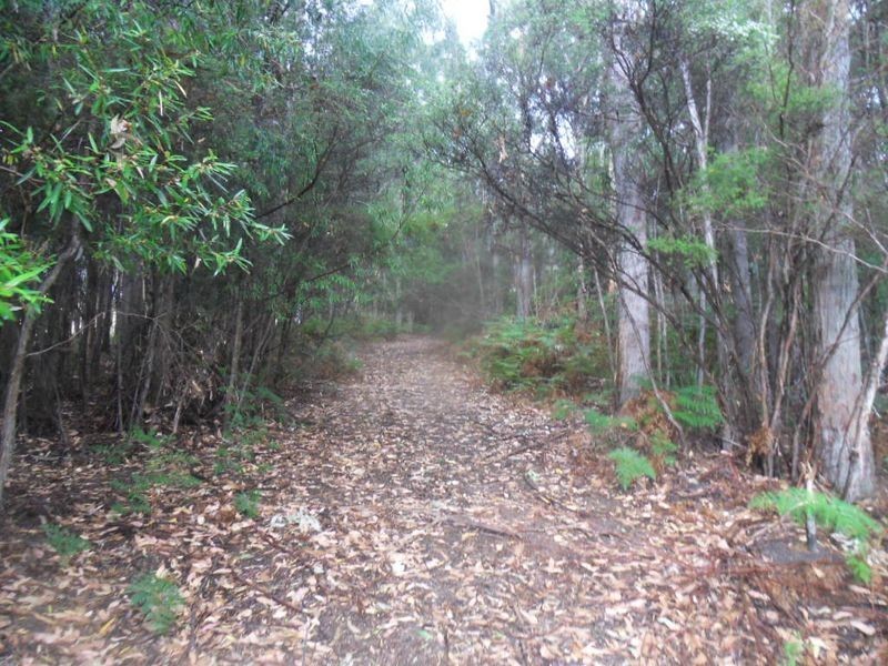 301 Minna Road Heybridge, Burnie TAS 7320