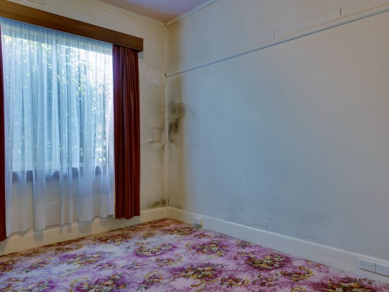 29 Halstead Street, Burnie TAS 7320