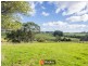 698 Ridgley Highway, Ridgley TAS 7321