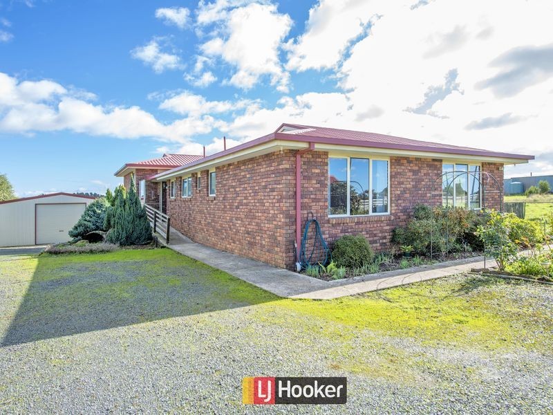 698 Ridgley Highway, Ridgley TAS 7321