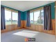 698 Ridgley Highway, Ridgley TAS 7321