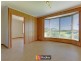 698 Ridgley Highway, Ridgley TAS 7321