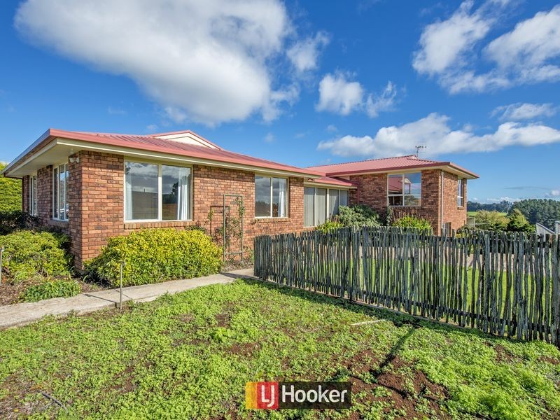 698 Ridgley Highway, Ridgley TAS 7321