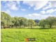698 Ridgley Highway, Ridgley TAS 7321