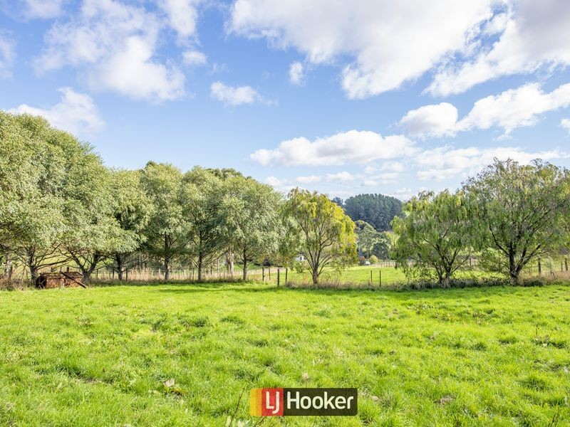 698 Ridgley Highway, Ridgley TAS 7321