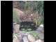 6 Charles Street, Burnie TAS 7320