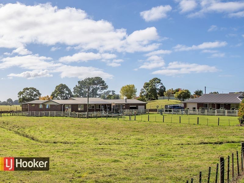 882 Ridgley Highway, Ridgley TAS 7321