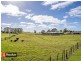 882 Ridgley Highway, Ridgley TAS 7321