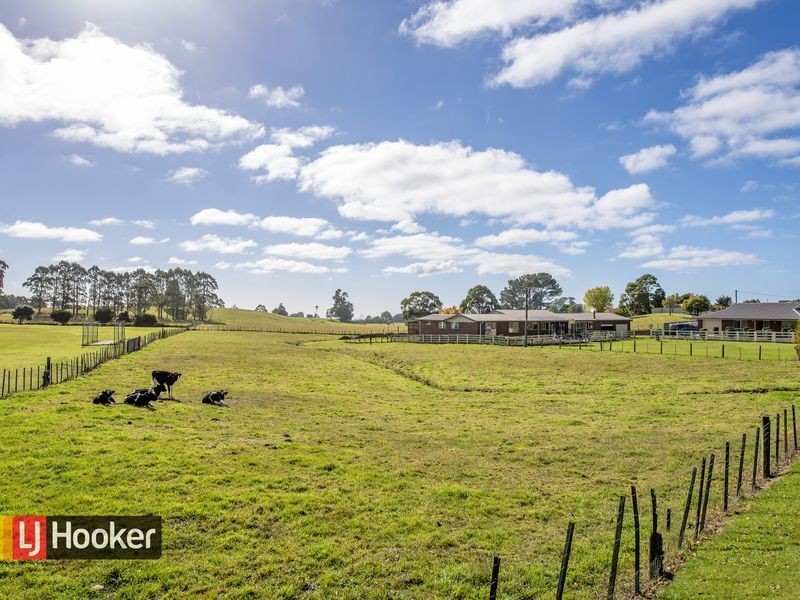 882 Ridgley Highway, Ridgley TAS 7321