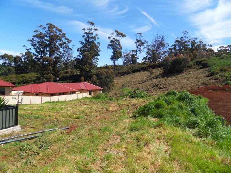 29 Heather Crescent, Park Grove TAS 7320