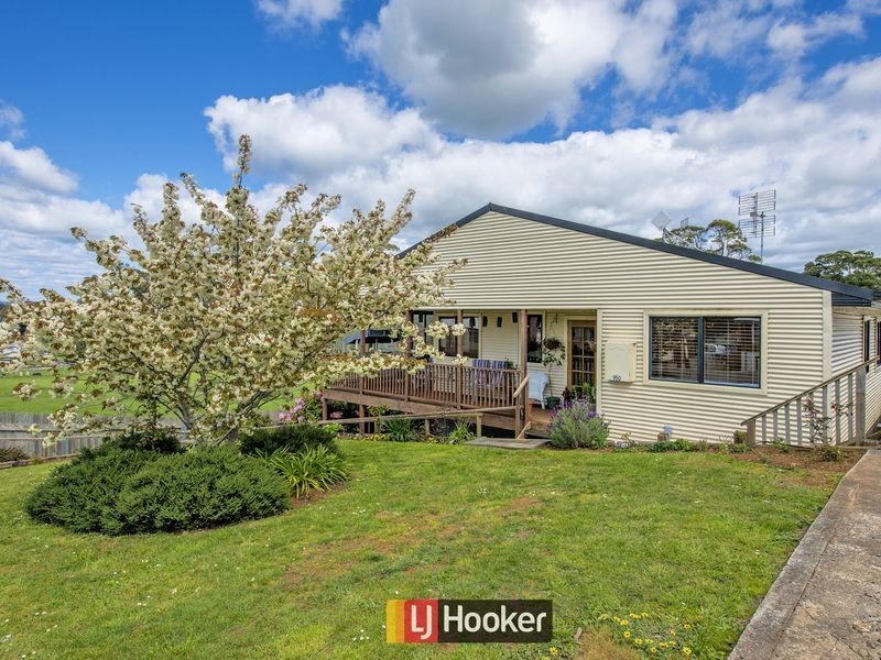 950 Ridgley Highway, Ridgley TAS 7321