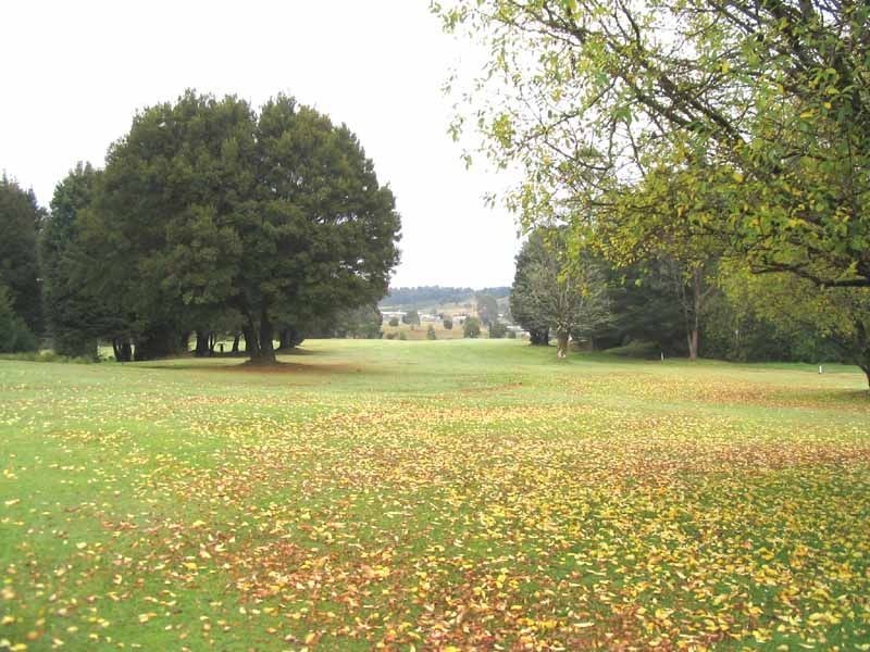 7 Little Quiggins Street, Waratah TAS 7321