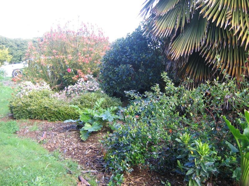 587 Cuprona Road, Burnie TAS 7320