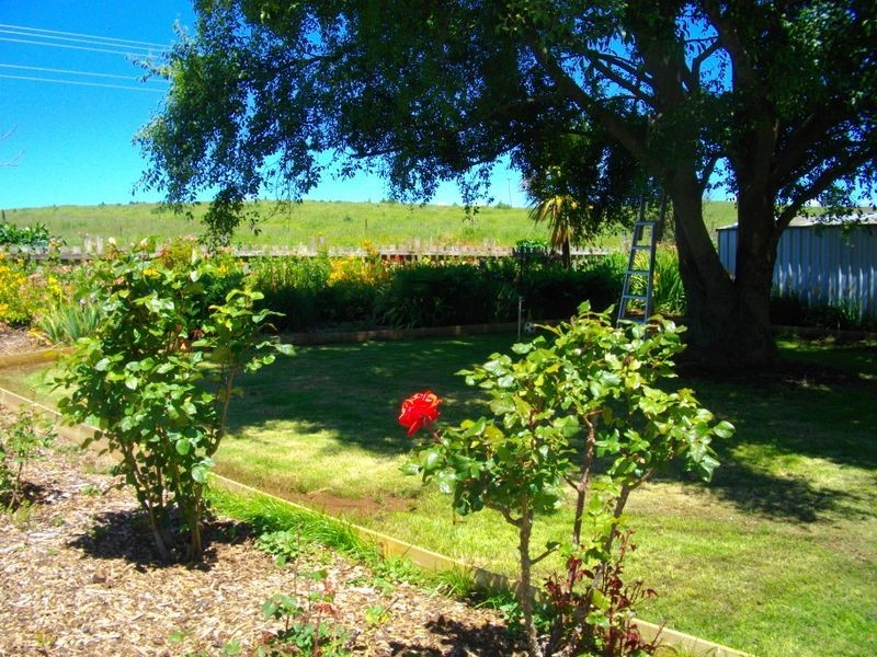 14 South Prospect Road, Black River TAS 7321