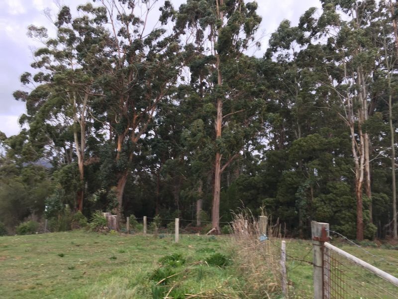55 Arthur Street, Somerset TAS 7322