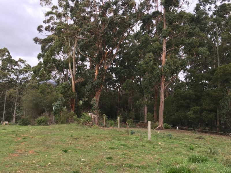 55 Arthur Street, Somerset TAS 7322