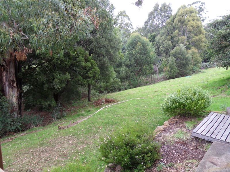 53 Blackwood Parade, Burnie TAS 7320