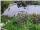9 Blythe Street, Heybridge TAS 7316