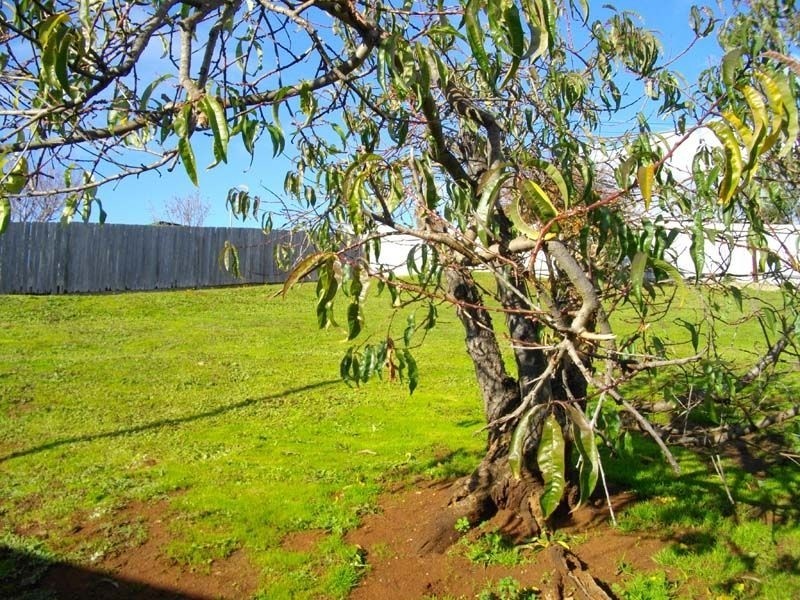 7 Wembley Street, Burnie TAS 7320