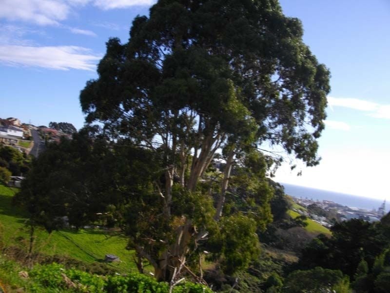 7 Wembley Street, Burnie TAS 7320
