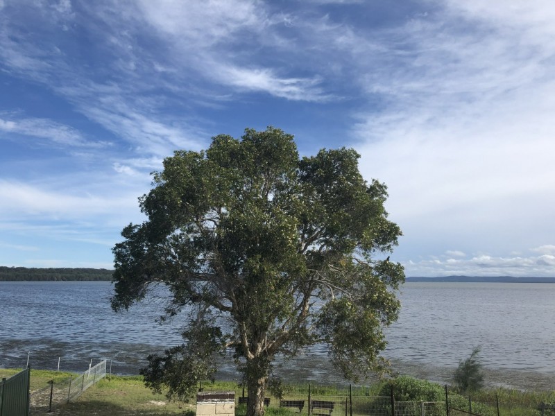 45 Moss Avenue, Toukley NSW 2263