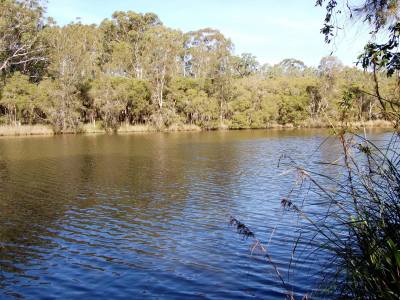 197 Birdwood Drive, Blue Haven NSW 2262