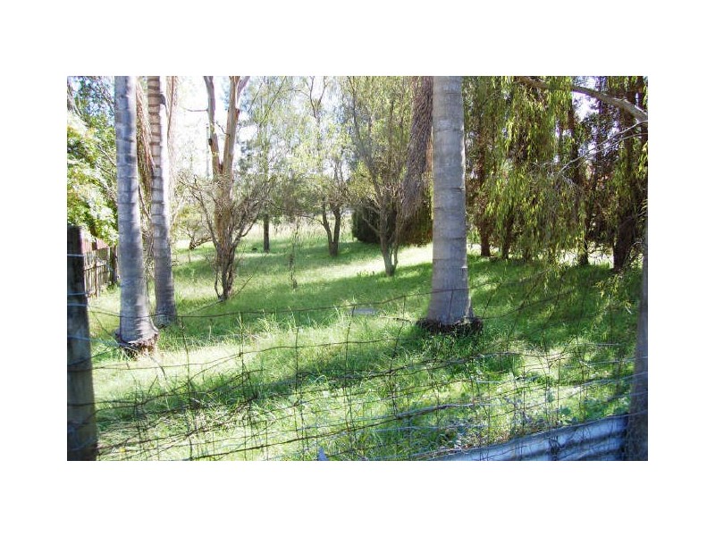 Warnervale NSW 2259