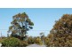 Budgewoi NSW 2262