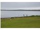 Budgewoi NSW 2262
