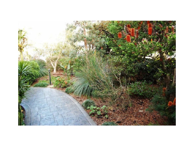 Hamlyn Terrace NSW 2259