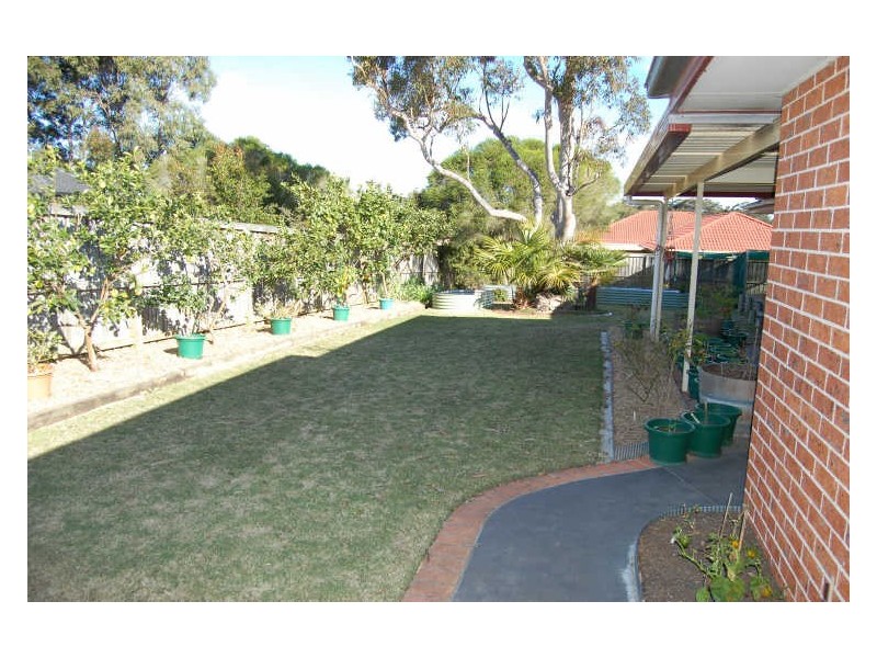 Hamlyn Terrace NSW 2259