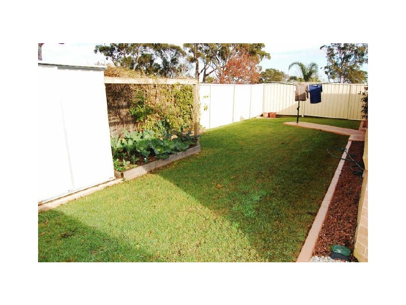 Hamlyn Terrace NSW 2259