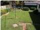 Charmhaven NSW 2263
