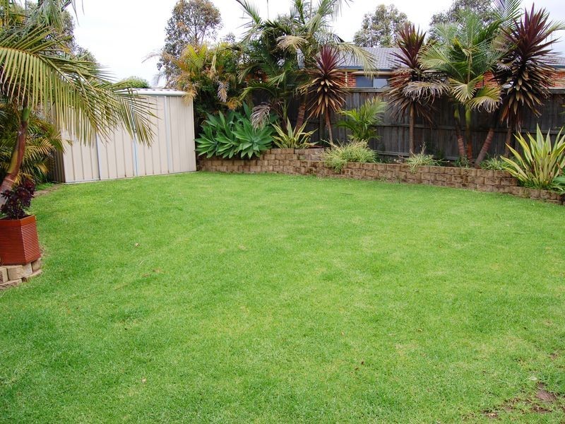 Woongarrah NSW 2259