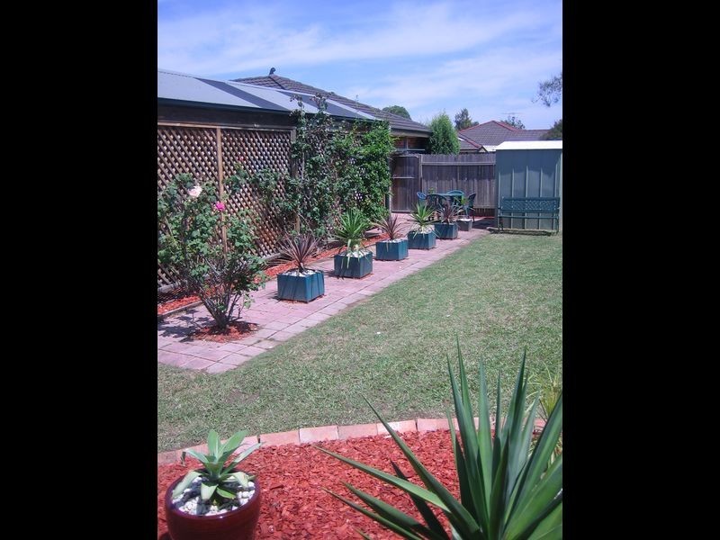 Hamlyn Terrace NSW 2259