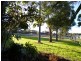 Toukley NSW 2263