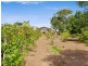 139-141 Main Road, Toukley NSW 2263